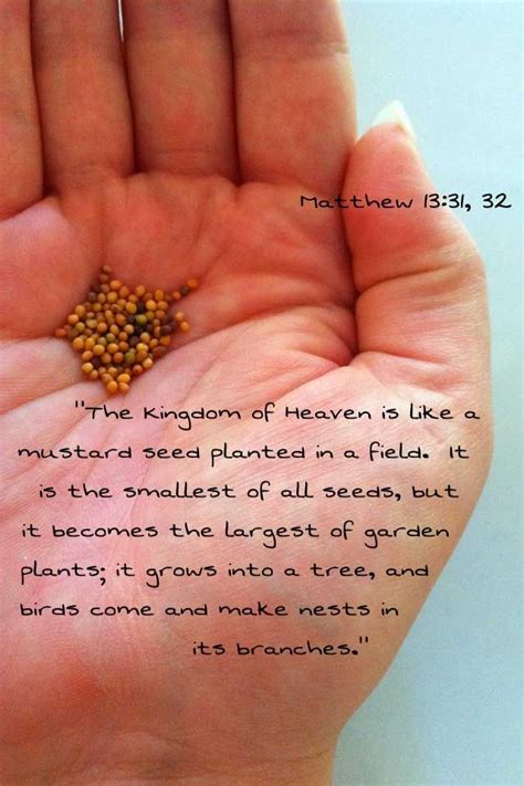 58 Best Images About Parable Of The Mustard Seed On