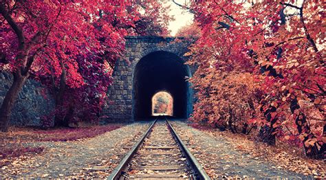 Image Rails Tunnel Autumn Nature Railroads