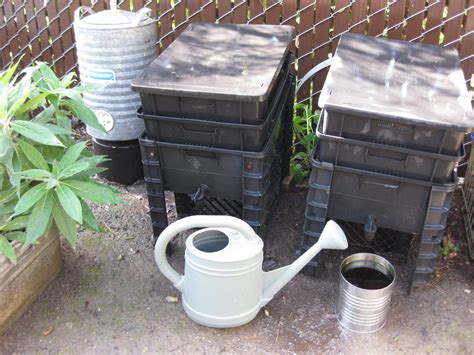 Worm Composting For Beginners Central Coast Gardening
