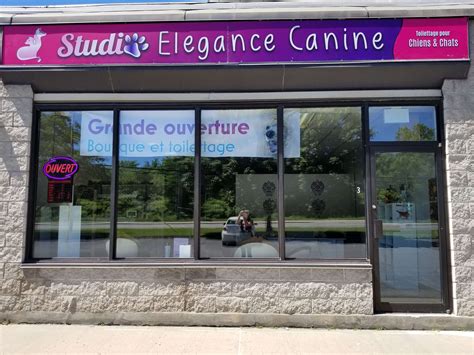 Studio Elegance Canine Gatineau Qc Pet Supplies