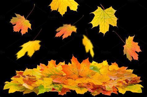 Autumn Leaves Psd High Quality Nature Stock Photos ~ Creative Market
