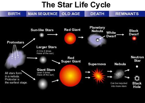 Star Life Cycle Life Cycles Star Science