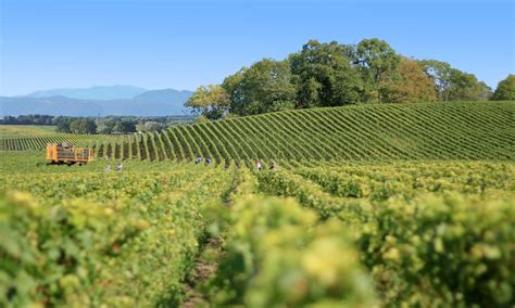 Aujourd'hui, elle innove et lance « parcours emploi personnalisé ». Corbières - Vignobles d'Occitanie