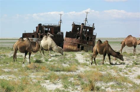 Aral Sea Recovery