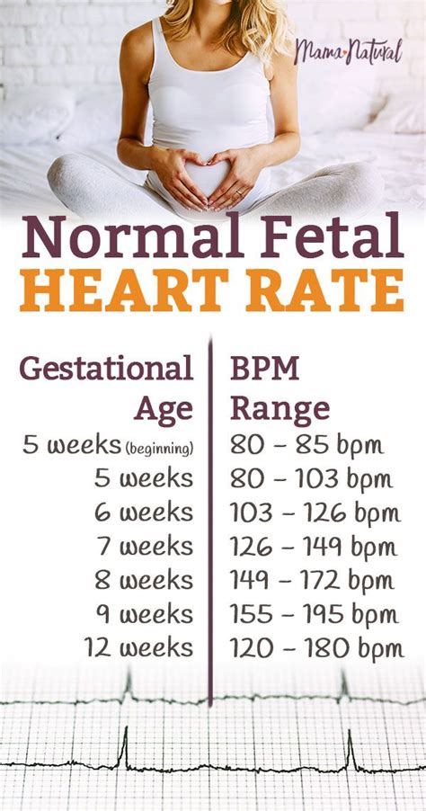 From resting heart rate to standing to v02 max, get to know what your heart is telling you around the clock with this guide with ranges for a healthy heart in most cases, a lower heart rate is the result of better cardiovascular fitness. Normal Fetal Heart Rate: Is Your Baby on Track? | Mama ...