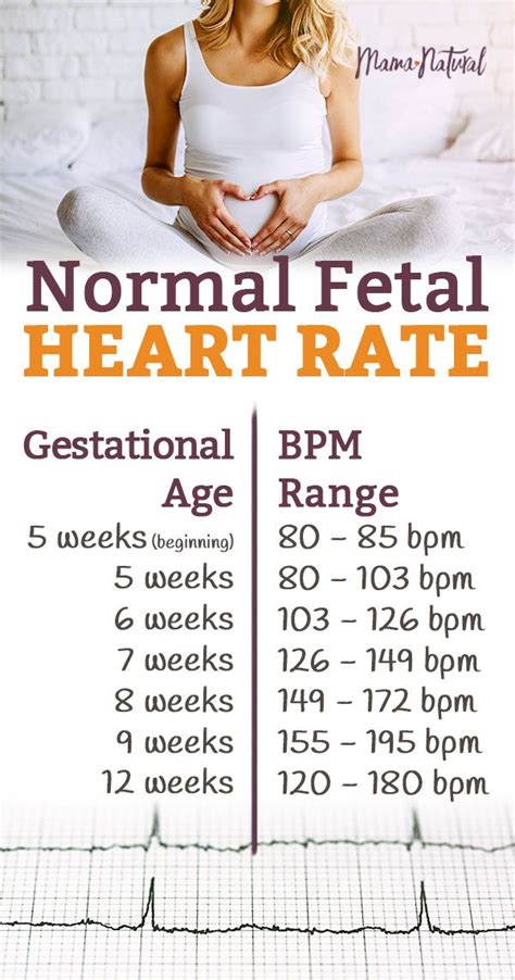 Heart rate is one of the vital signs that are checked regularly whenever you visit your doctor, or when you get admitted to the hospital. Normal Fetal Heart Rate: Is Your Baby on Track? | Mama ...