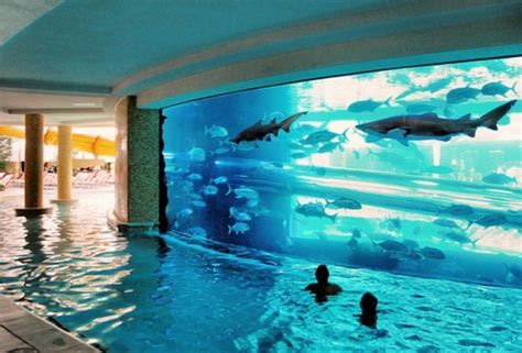 11 Most Beautiful Swimming Pools You Have Ever Seen Architecture Design