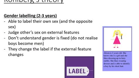 5 Kohlbergs Theory Of Gender Development Youtube