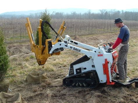 Choose a tree from our many acres of different species or move an existing tree in your. Основные этапы при посадке крупномеров