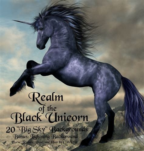 17 Best Images About Black Unicorns On Pinterest Horns The Unicorn