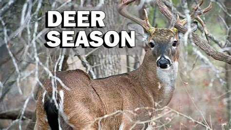 Texas Deer Hunting Season Begins Kabb
