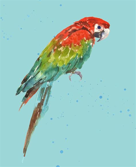 Parrot Tropical Bird Print By Alison Fennell