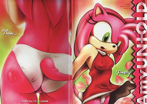 Comic Amy Rose Ass Cumception