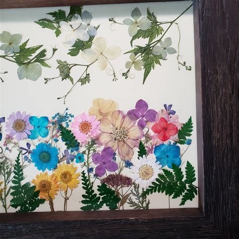 Colorful Pressed Flower Framed Art Etsy