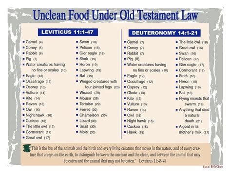 Unclean Food Under Old Testament Law Christian Bible Study Bible