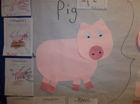 English flashcards for kindergarten and school. Mrs. Wood's Kindergarten Class: Animal Body Parts