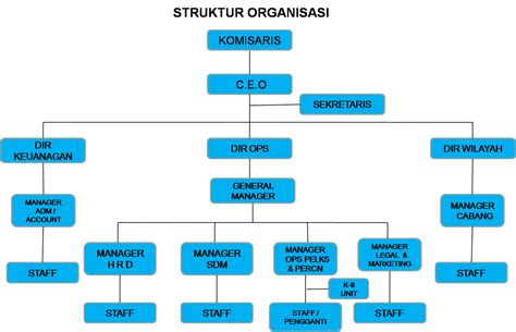 Contoh Struktur Organisasi Pt
