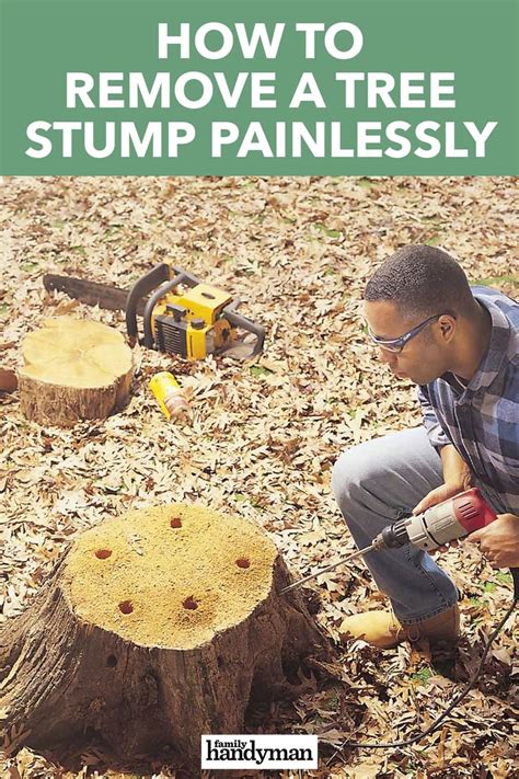 How To Remove A Tree Stump Painlessly Tree Stump Outdoor Landscaping