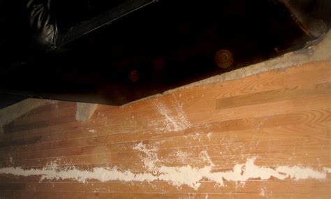 Spectracide terminate termite detection & killing stakes use them to both monitor and kill termites. Easy and Natural Pest Control Remedies for Your Condo