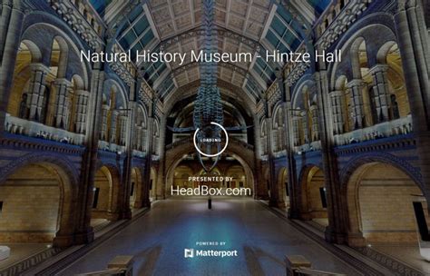 Online Travel Natural History Museum London Launches 3d Virtual Tour