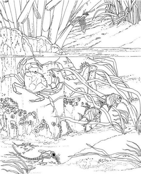 It's so much easier to color in those smaller areas. Pin on Colouring for adults