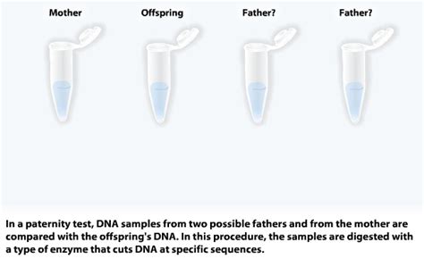 Where can i get a dna test done for free. DNA Paternity Testing Help: Tips to Get Free DNA Paternity ...