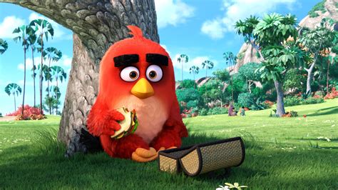 X Angry Birds Main Character Samsung Galaxy S S Google Pixel Xl Nexus P Lg G