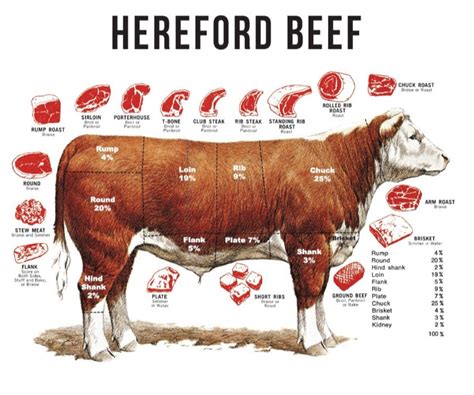 hereford beef chart shop hereford