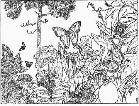 Animal free nature coloring pages for adults. Nature Alive Forest | HD Coloring Pages for Adult