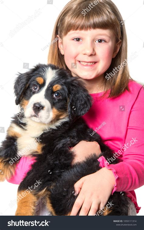 Young Girl Hug Bernese Mountain Dog Stock Photo 1059111314 Shutterstock