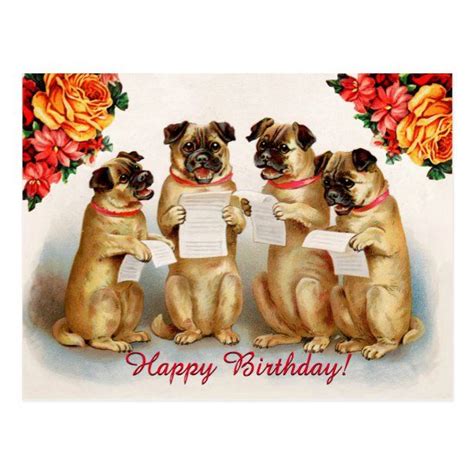 Vintage Pugs Singing Happy Birthday Postcard Singing T Idea Happy