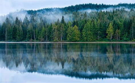 Canada Lake Forests Morton British Columbia Nature Wallpaper Nature