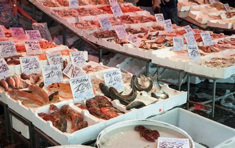 Different Types Of Fish And Seafood On Counter Editorial Stock Photo