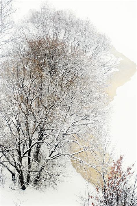 Lacy Winter 2 Photograph By Jenny Rainbow Fine Art America
