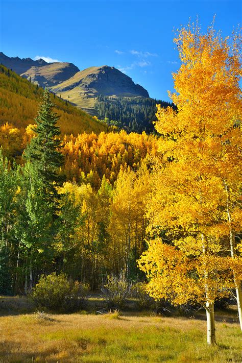 Red Mountain Pass Fall Photograph By Ray Mathis Fine Art America