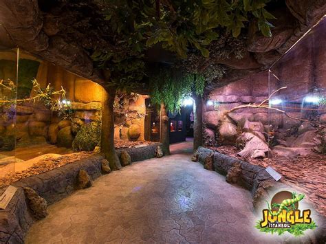 Jungle and manuel darquart — birds of paradiso (back to mine : Jungle Park Entrance (Jungle, Safari and Dungeon)