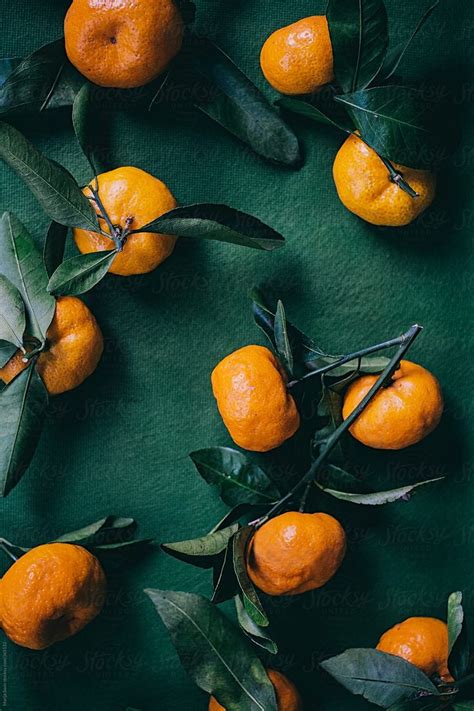 Tangerines By Marija Savic Fruit Photography Green Backgrounds
