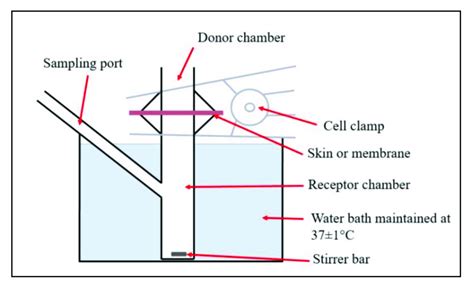 Diagram Of The Franz Diffusion Cell Used For The In Vitro Drug Release