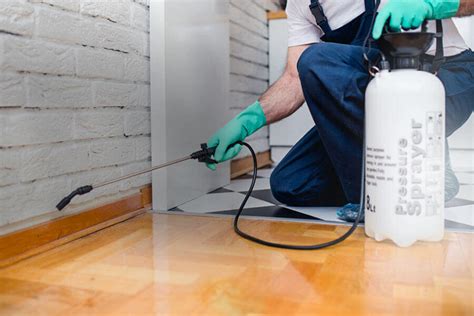 A way to help with the extermination of the insects in the home, it is essential to identify them. #1 Las Vegas Pest Control Company - Killer Instinct - Best ...