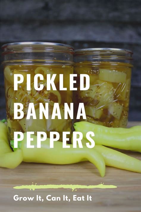 pickled banana peppers easy canned pickled banana pepper recipe