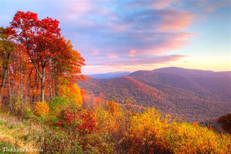 5 Of The Best Shenandoah Hiking Trails To Explore This