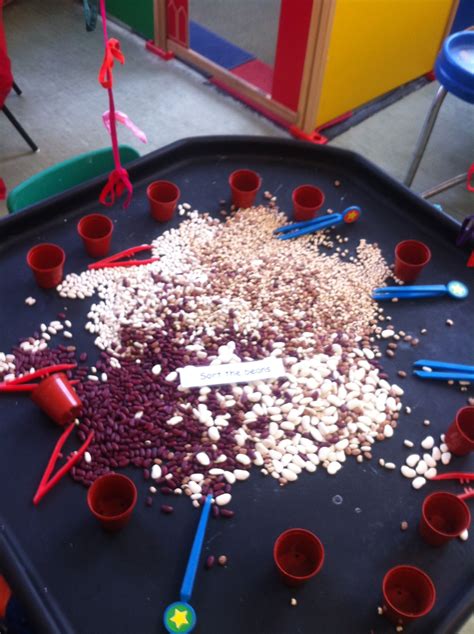 Sorting Beans With Tweezers Eyfs Activities Nursery Activities Motor