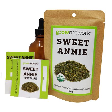 Sweet Annie Diy Tincture Kit — The Grow Network Store