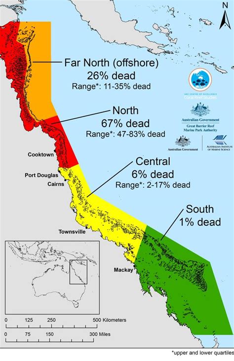Great Barrier Reef Coral Bleaching Before And After Photos Are Shocking Au