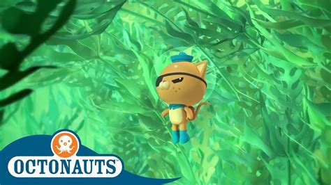 Octonauts Underwater Jungle Full Episodes Cartoons For Kids Youtube