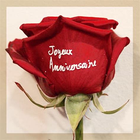 Search, discover and share your favorite joyeux anniversaire gifs. rose rouge marquée Joyeux anniversaire blanc | Bon anniversaire fleurs, Bon anniversaire, Vœux ...