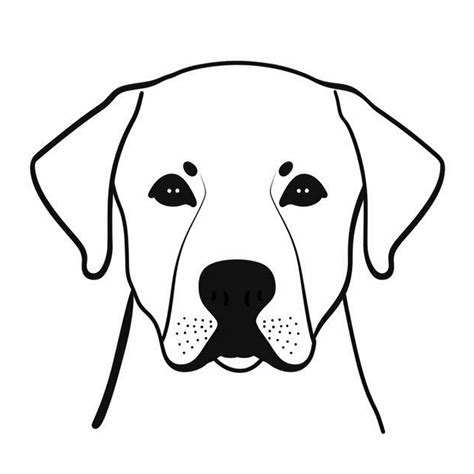 Simple Outline Of A Front Facing Labrador Retrievers Dog Head Kids
