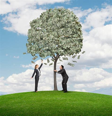Money Tree Pictures Images And Stock Photos Istock
