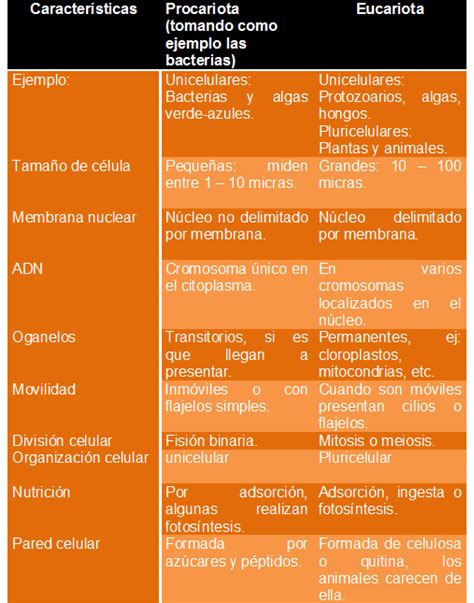 Cuadros comparativos entre célula procariota y eucariota Cuadro