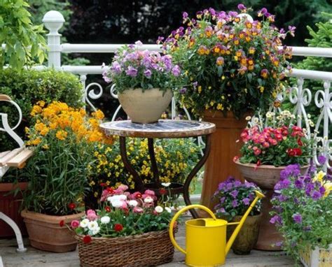 Choose Summer Flowers For Your Garden
